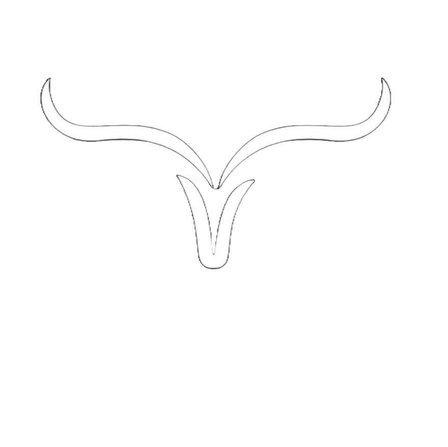 Longhorn Luxury Builders
